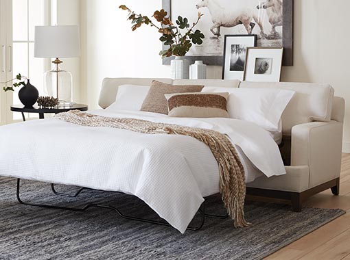 sleeper sofa